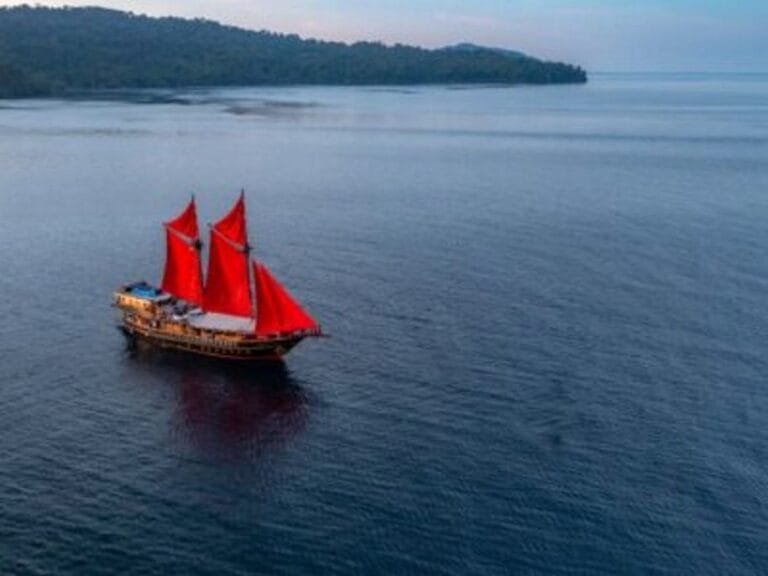 Diving tour to raja ampat on the deluxe boat calico jack