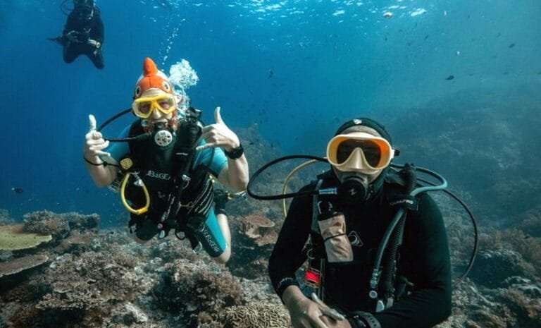 Diving tour to raja ampat on the deluxe boat calico jack_10