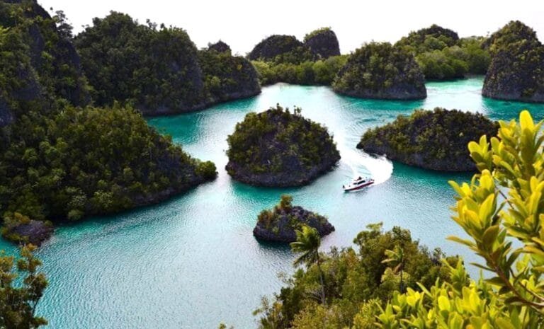 Diving tour to raja ampat on the deluxe boat calico jack_4