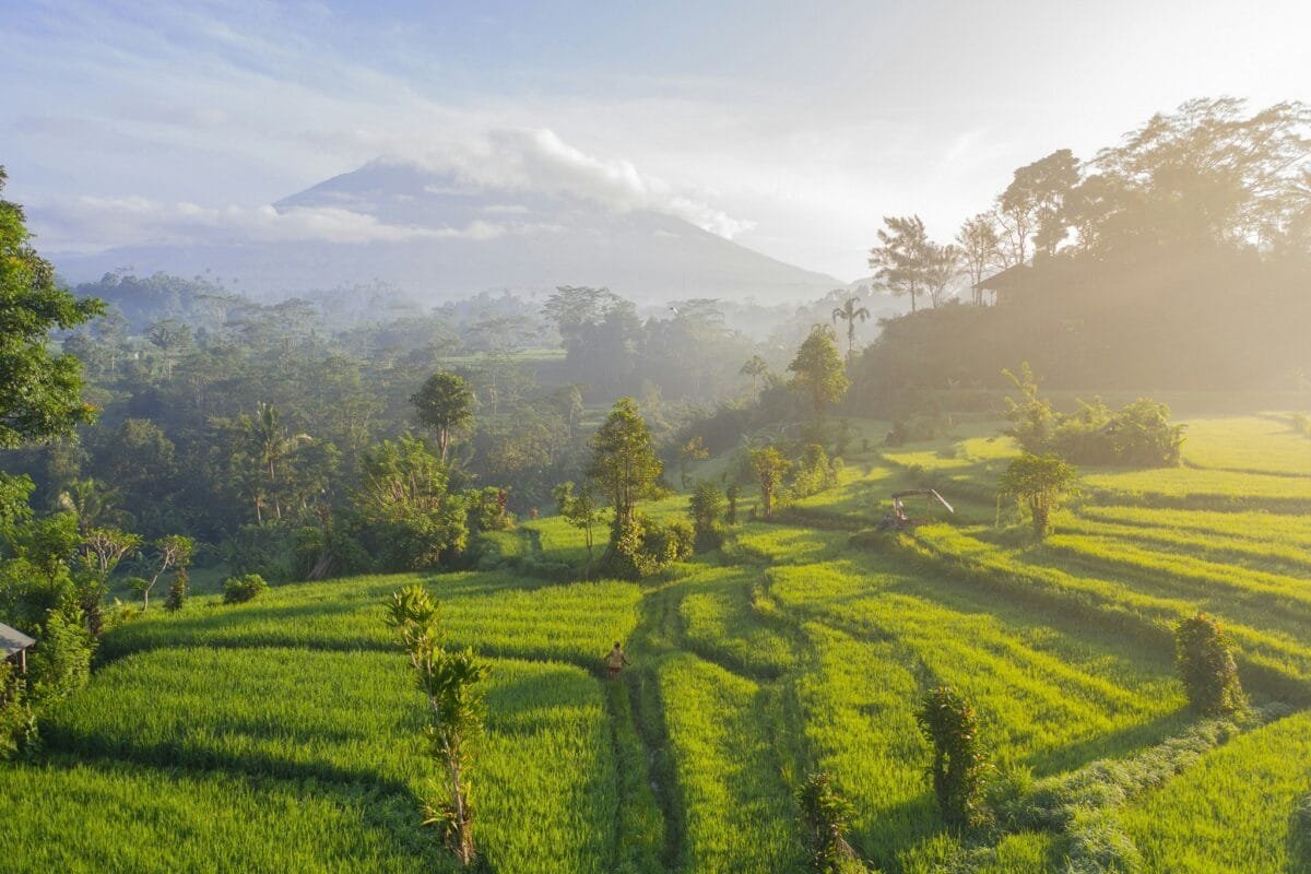 Sidemen rice terraces with Mount Agung in the background