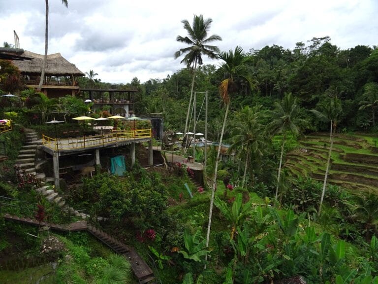Tegalalang rice terraces with lush greenery.