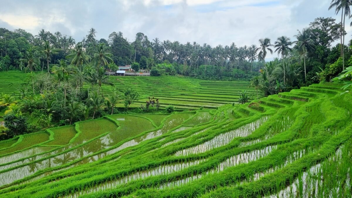 Bali mimo hlavní trasy kam jet pokud nechcete davy