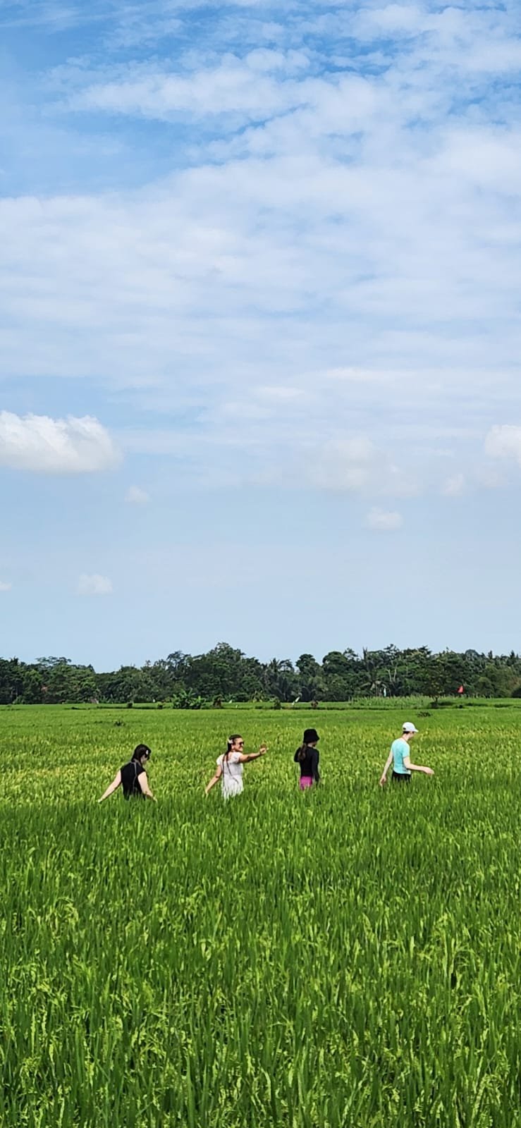 Obrázek whatsapp, 2025-12-05 v 18.24.56_e4421b7a