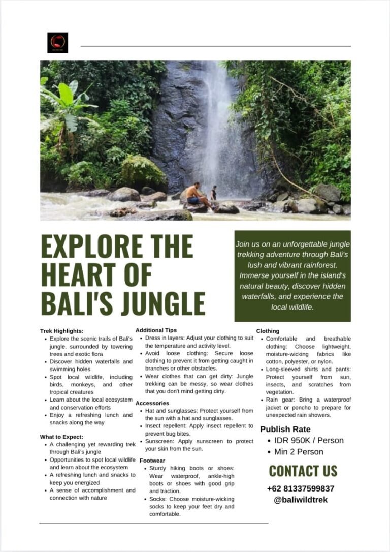 Obrázek whatsapp, 2025-12-11 v 14.01.19_79deb47f