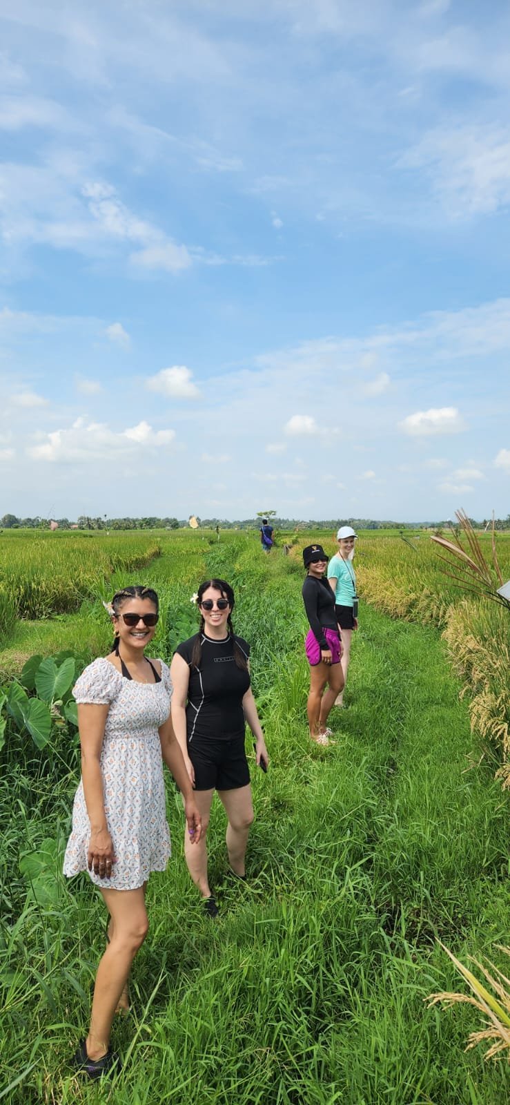 Obrázek whatsapp, 2025-12-11 v 14.10.11_05bdc645