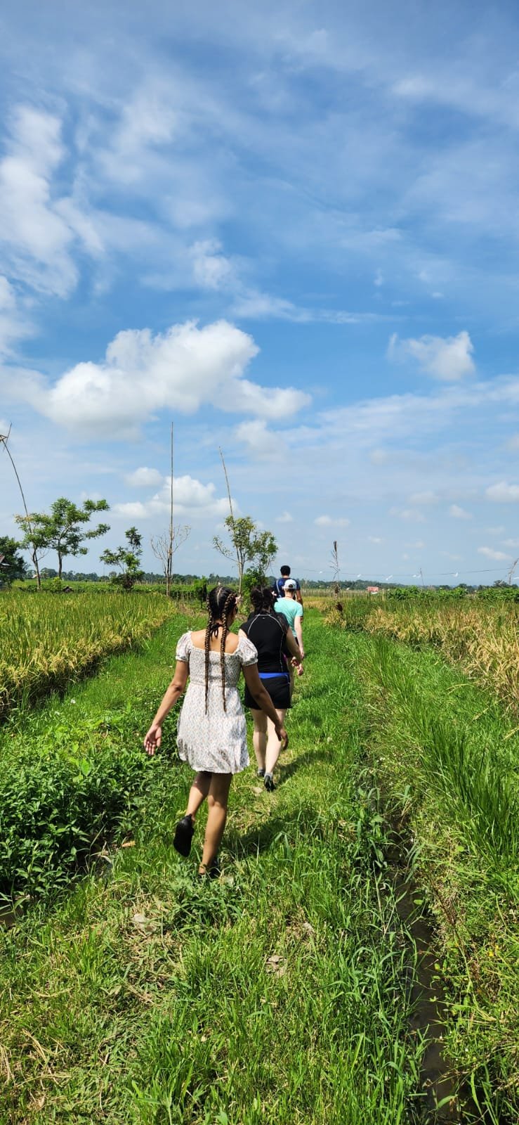 Obrázek whatsapp, 2025-12-11 v 14.10.11_5a512ce3