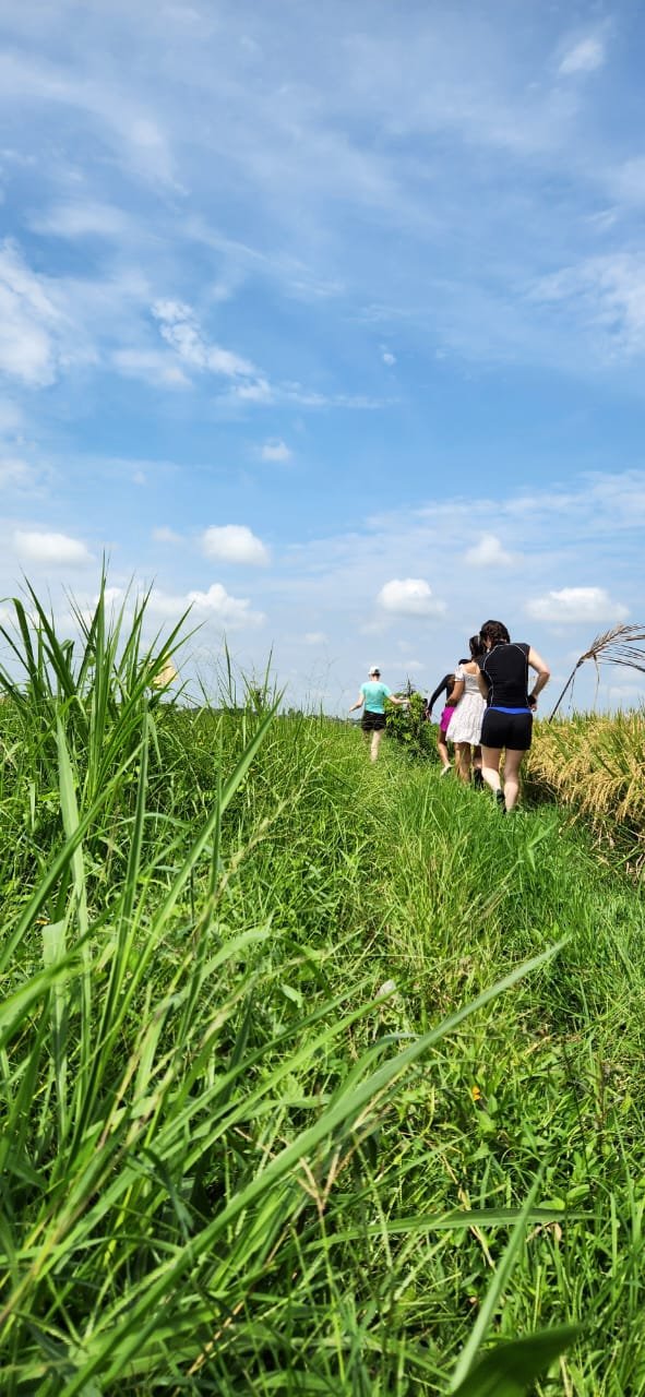 Obrázek whatsapp, 2025-12-11 v 14.10.12_62a55d8e