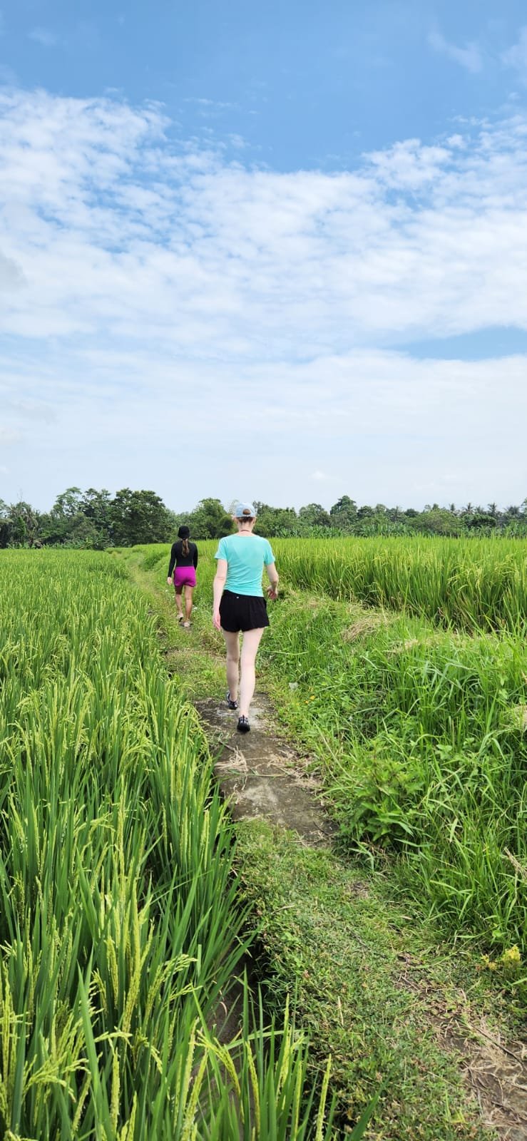 Obrázek whatsapp, 2025-12-11 v 14.10.13_01200b89