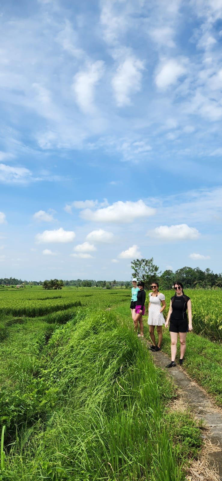 Obrázek whatsapp, 2025-12-11 v 14.10.13_96a47805