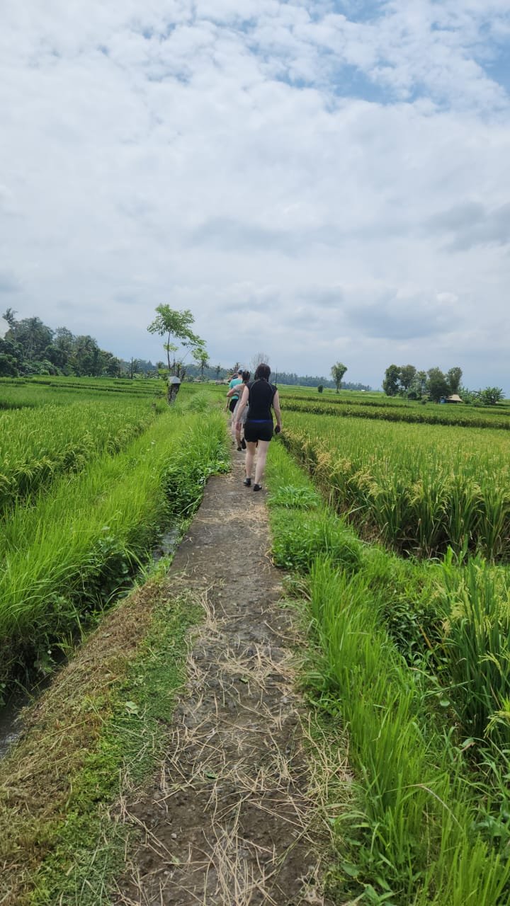 Obrázek whatsapp, 2025-12-11 v 14.10.16_67a58ac4