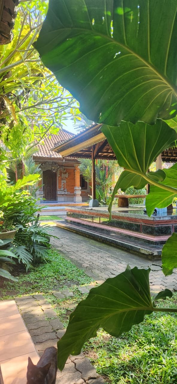 Obrázek whatsapp, 2025-12-11 v 14.10.23_d10a88bd