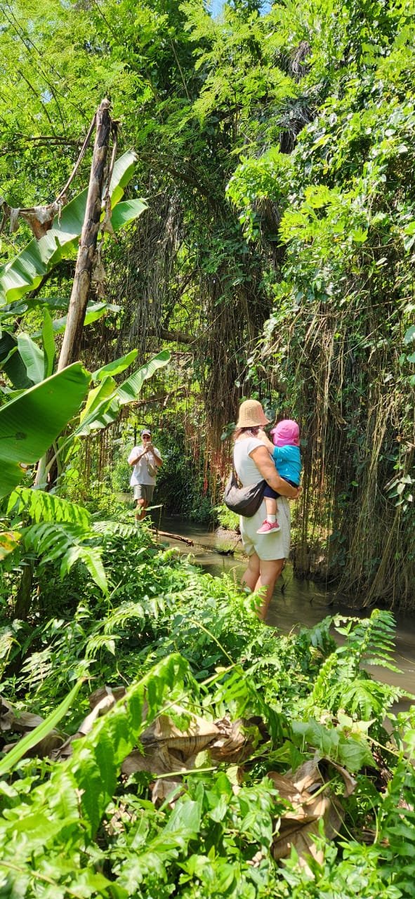 Obrázek whatsapp, 2025-12-11 v 14.10.24_107324db