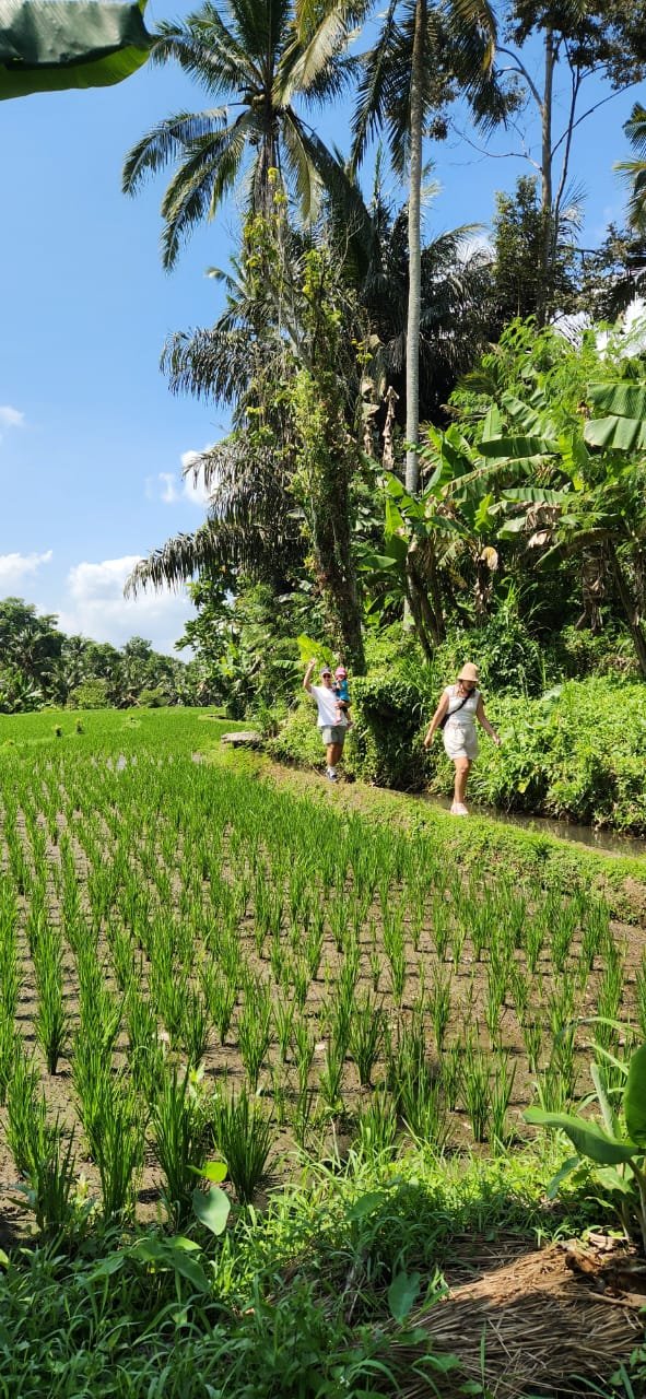 Obrázek whatsapp, 2025-12-11 v 14.10.24_9ef24607