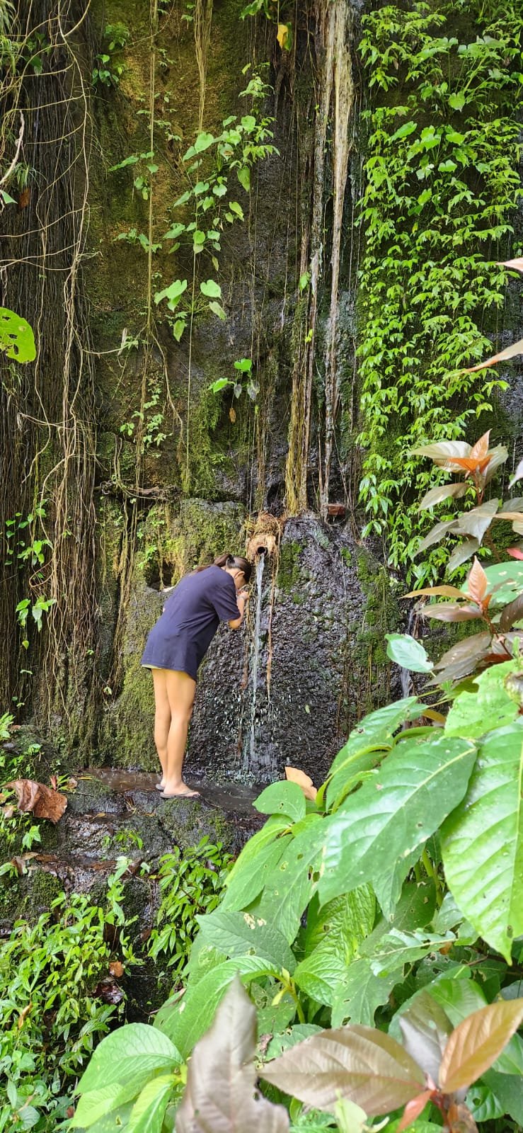 Obrázek whatsapp, 2025-12-11 v 14.17.58_3ddb1f0a