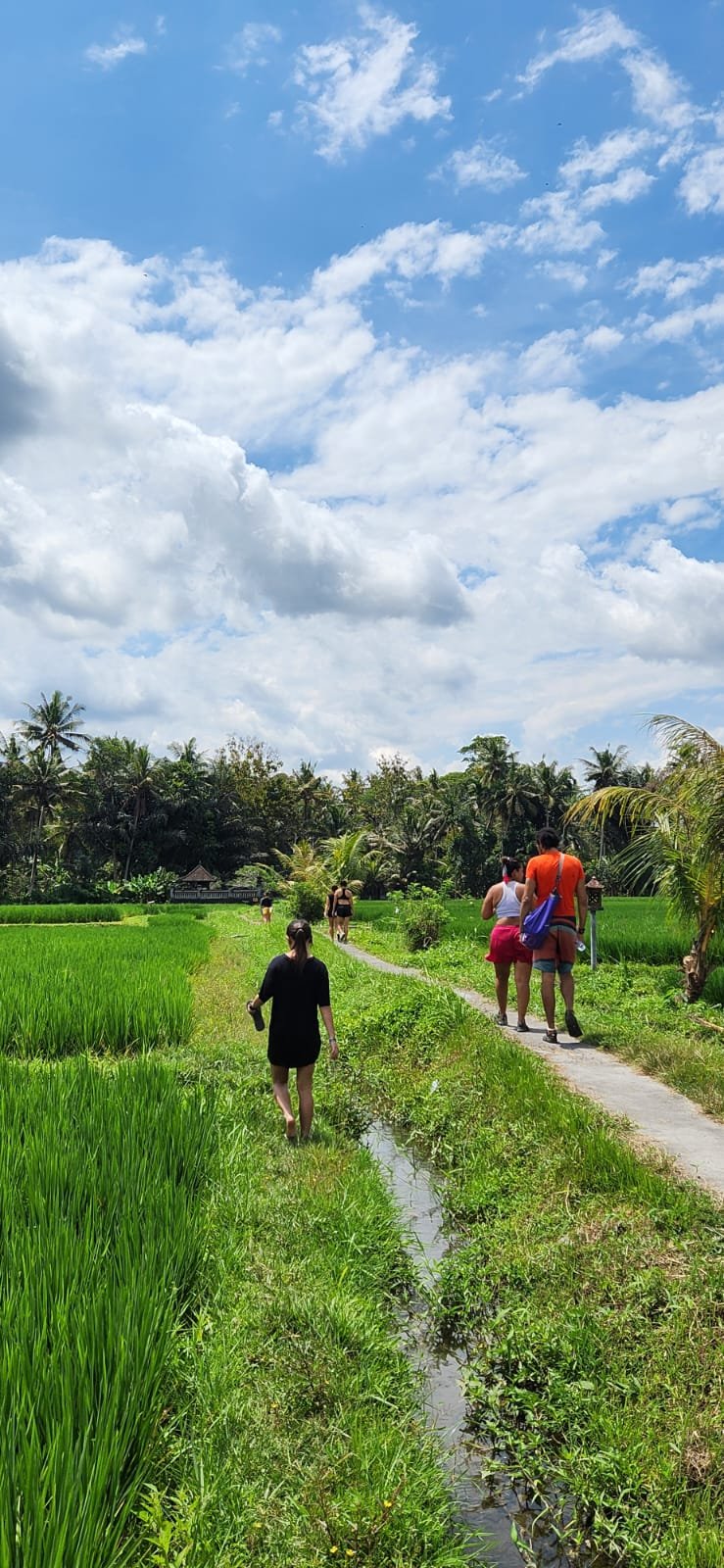 Obrázek whatsapp, 2025-12-11 v 14.17.58_82c83bd8