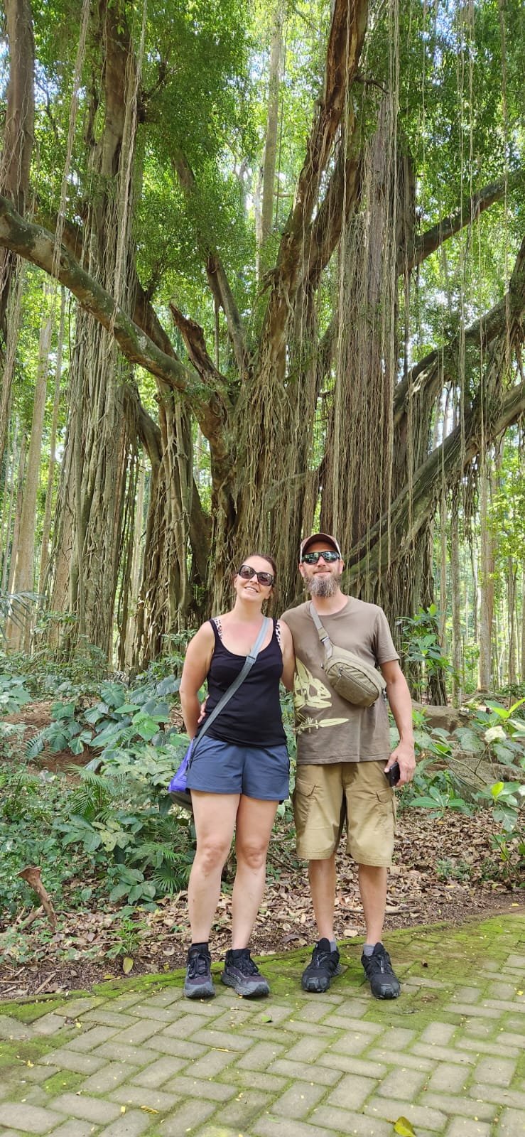 Obrázek whatsapp, 2025-12-11 v 14.18.00_e51c65c0