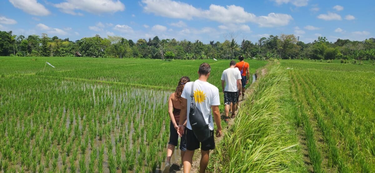 Obrázek whatsapp, 2025-12-11 v 14.18.00_e80f647a