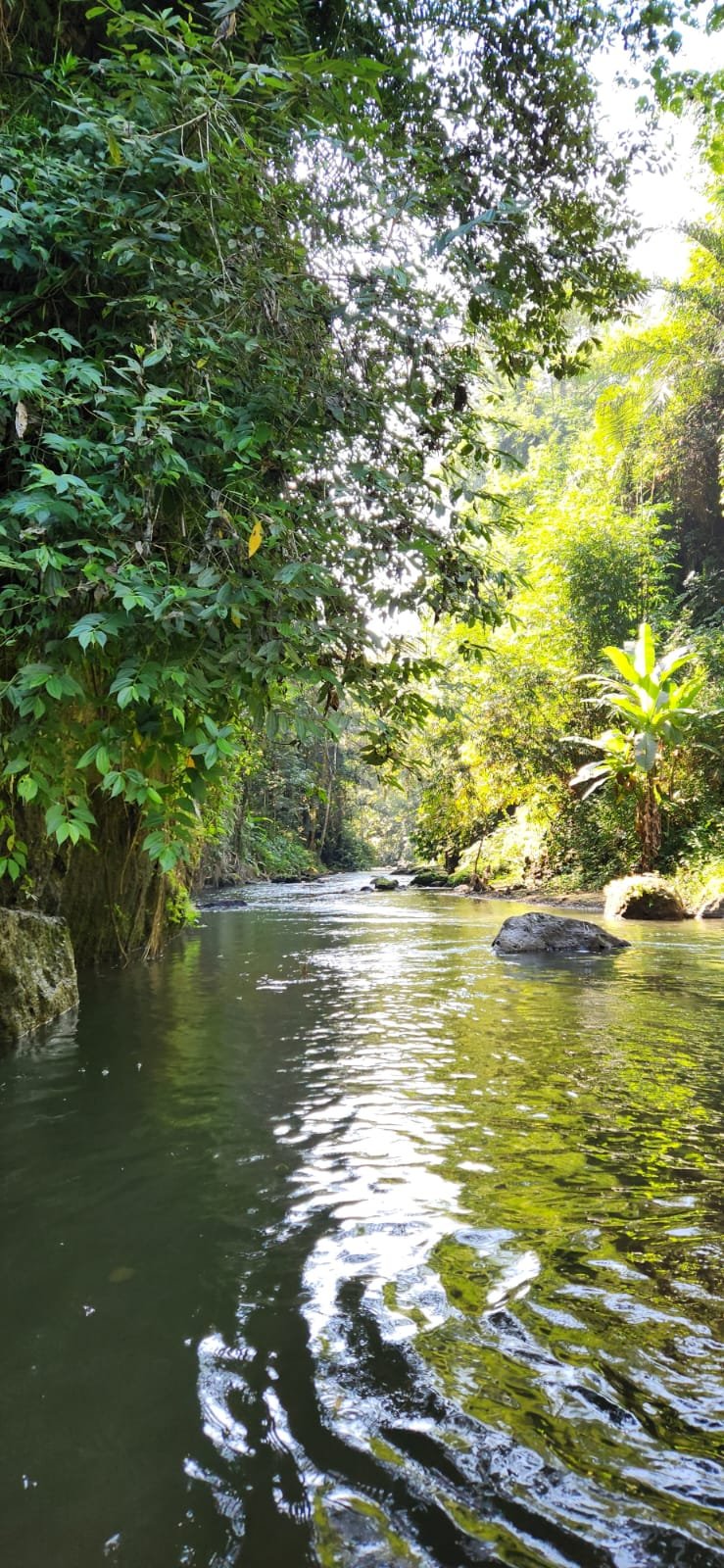 Obrázek whatsapp, 2025-12-11 v 14.18.02_264da42f