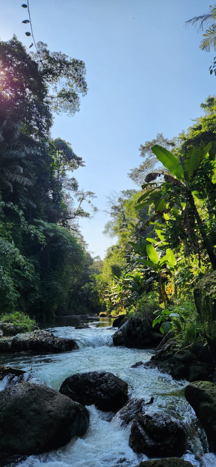 Obrázek whatsapp, 2025-12-11 v 14.18.02_68f048da