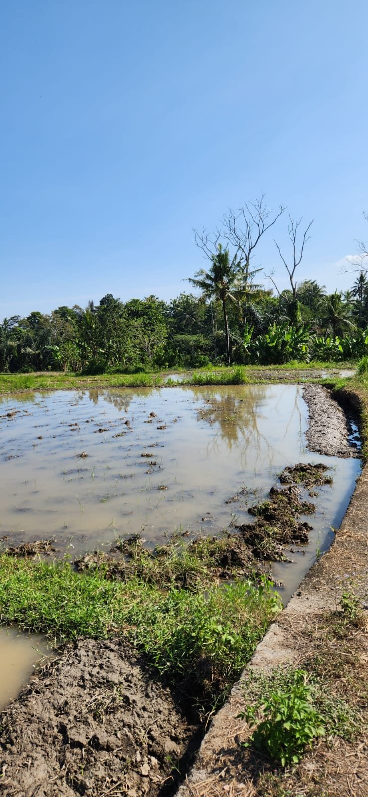 Obrázek whatsapp, 2025-12-11 v 14.18.04_d182b8ce