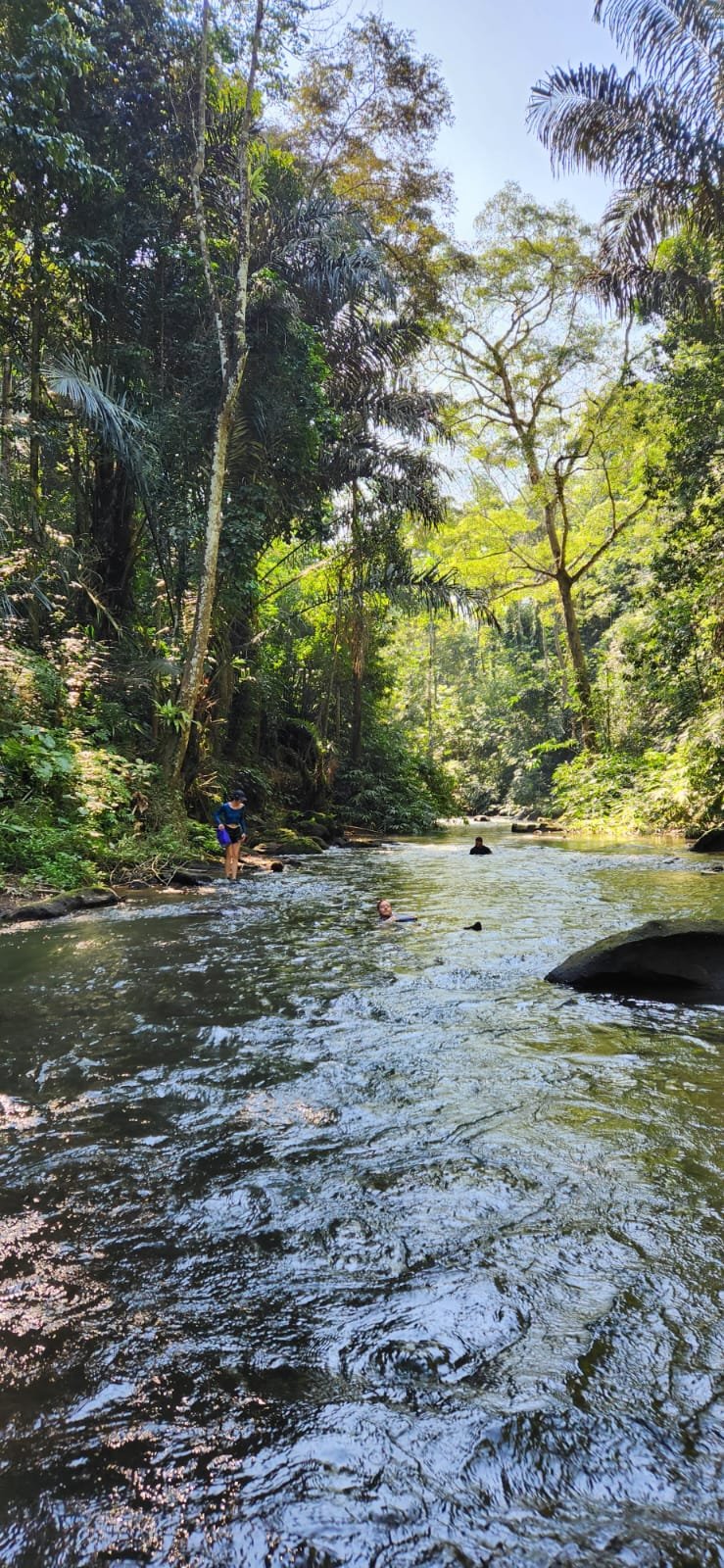 Obrázek whatsapp, 2025-12-11 v 14.18.06_9b6162fb