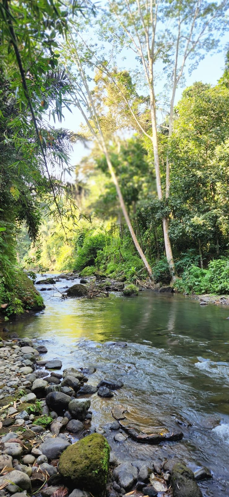 Obrázek whatsapp, 2025-12-11 v 14.18.06_f68ba8c7