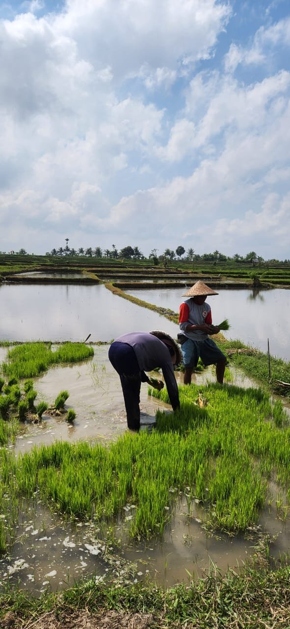 Obrázek whatsapp, 2025-12-11 v 14.21.04_14766061