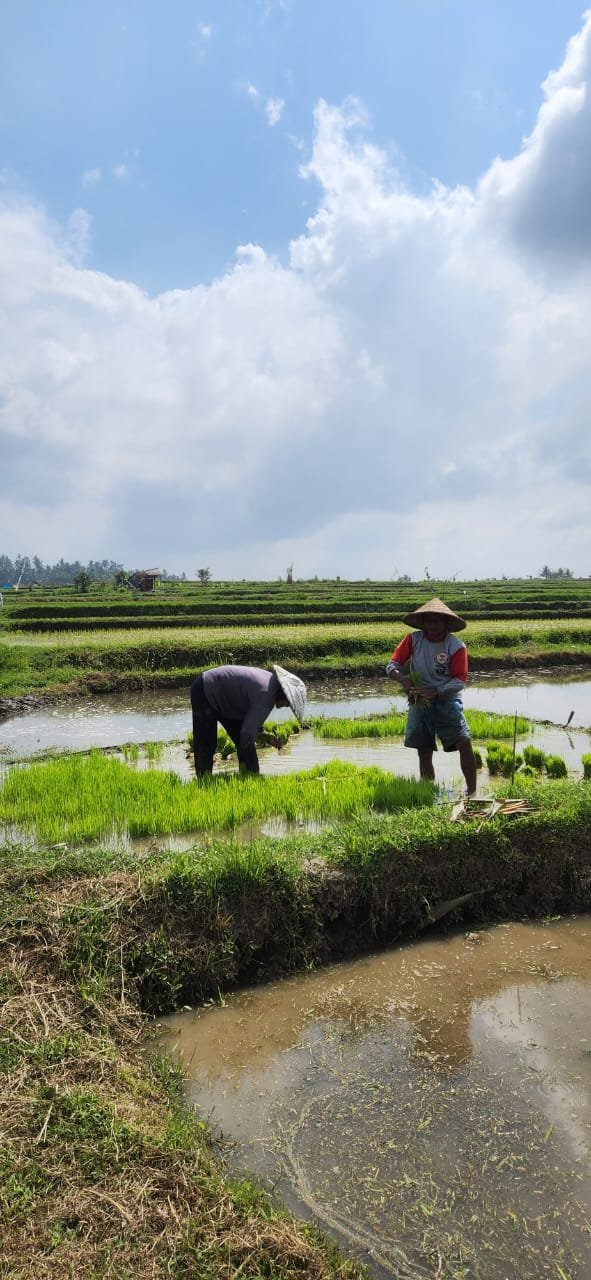 Obrázek whatsapp, 2025-12-11 v 14.21.04_34f33e93