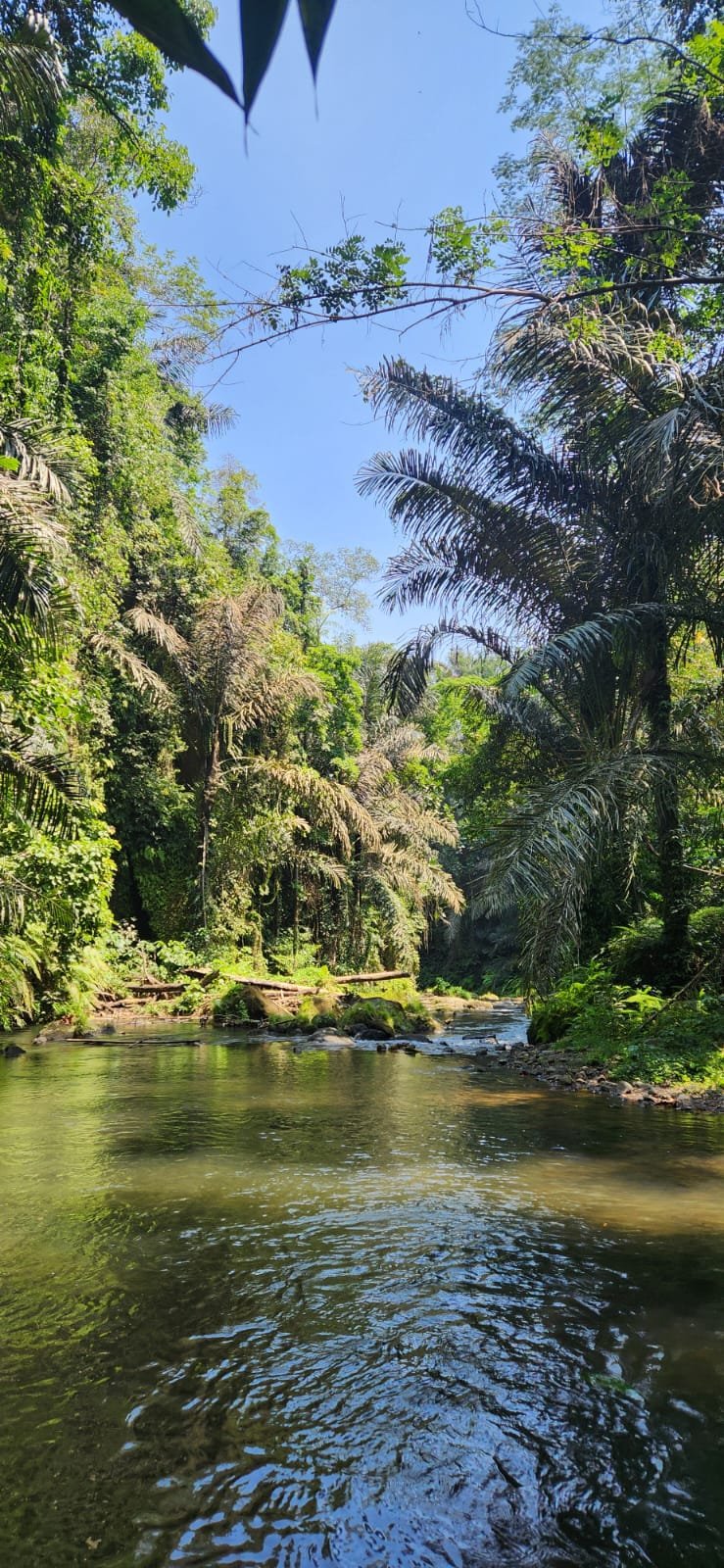 Obrázek whatsapp, 2025-12-11 v 14.21.06_1f1ec8b7