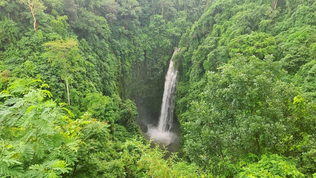 Realita bali vs instagram jaký je život na bali doopravdy