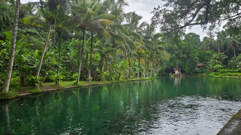 Bali-wild-trek-taman-mumbul12